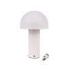 Lampka stołowa nocna V-TAC 1W LED 25cm ładowanie USB ściemnianie biała VT-1047 3000K-6000K 200lm